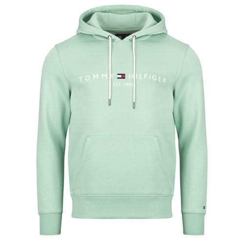 Capuchon sweaters Tommy Hilfiger TOMMY LOGO HOODY