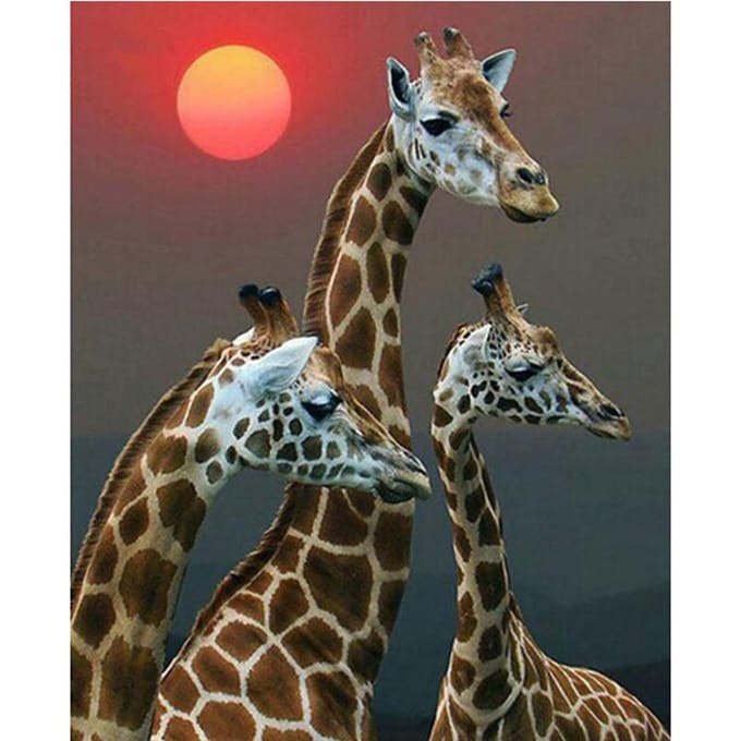 5D Diamant Schilderij Giraffe Diamant Borduurwerk Dier Kruissteek 20X30CM gray