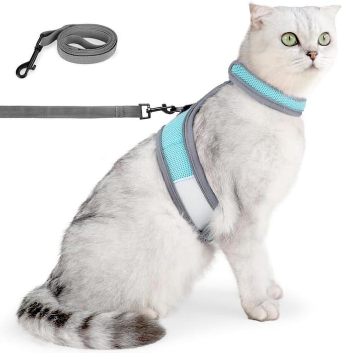 Harness with Leash Breathable Anti Escape Lead Adjustable Reflective Net Vest for Cats Kittens Chihuahua Rabbit