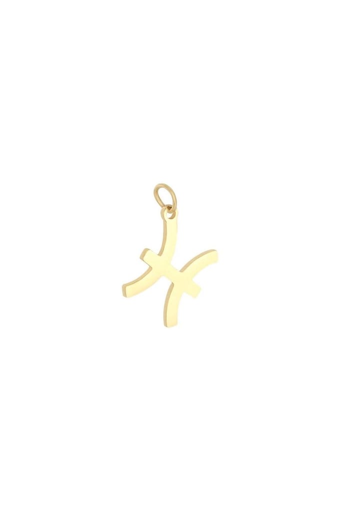 Hanger - sterrenbeeld - stainless steel - kado - kerst
