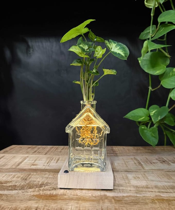 Intenz | Oslo | Glazen huisje met plant op water | Syngonium Pixie