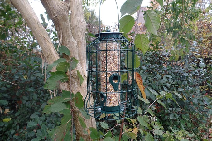 Luxe Zaadvoeder Silo - Met Vogel Motief  en Ophanglus - Grote Inhoud