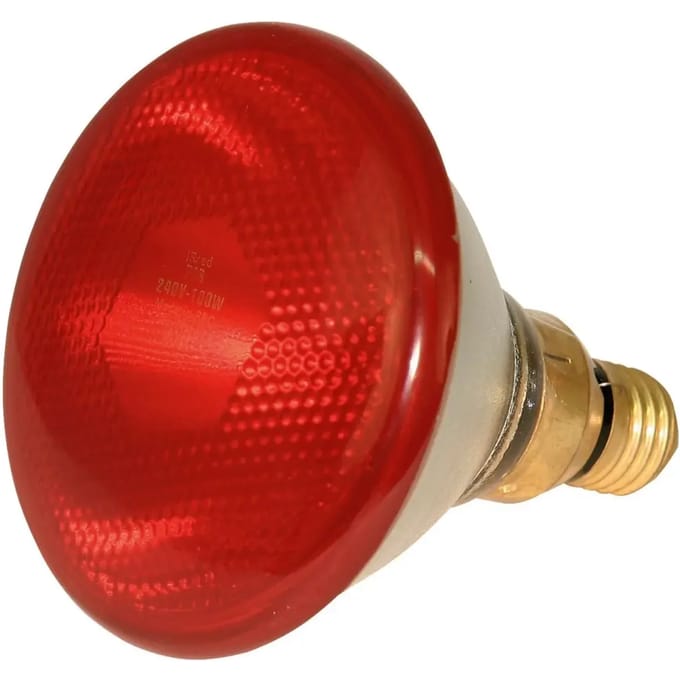Goedkope infraroodlamp Kerbl