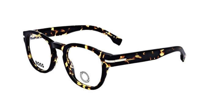 Hugo Boss Boss 1504 QUM Glasdiameter: 50