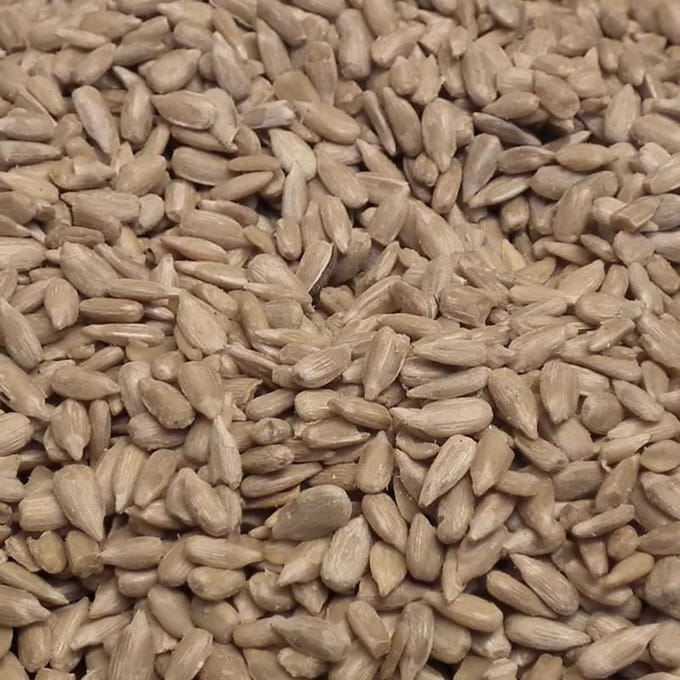 Vogro Zonnebloempitten gepeld 10KG