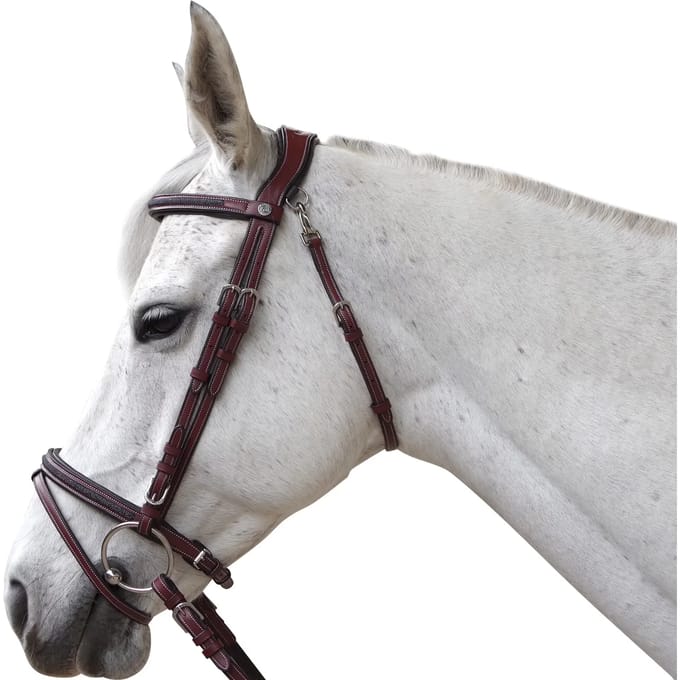 Hoofdstellen voor paarden Flags&Cup Aachen