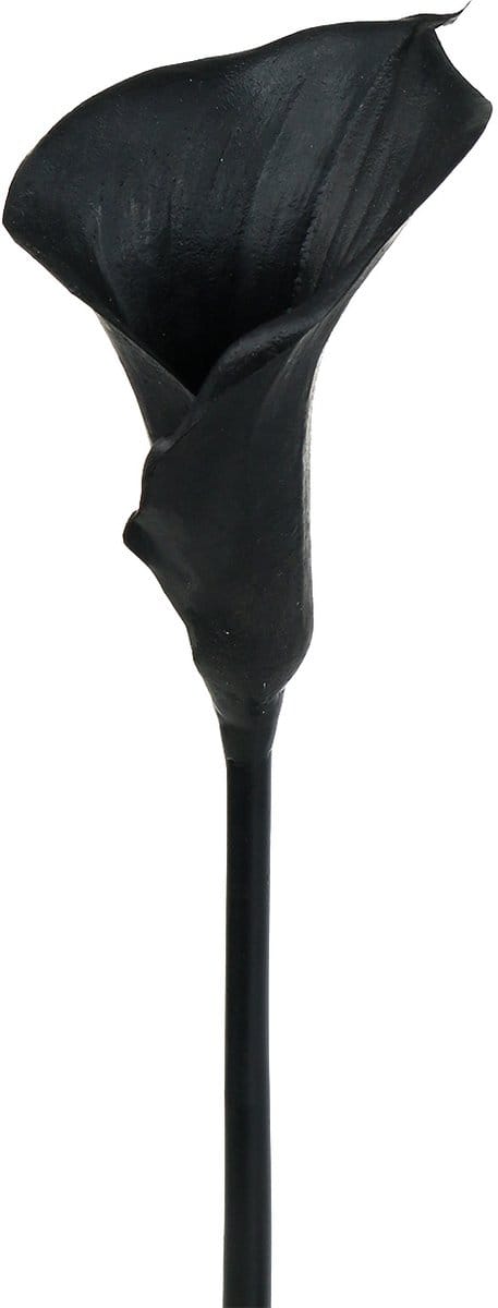 Deco Calla Zwart 75cm