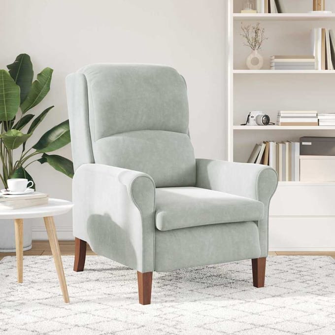 vidaXL - Fauteuil - Lichtgrijs - Fluweel