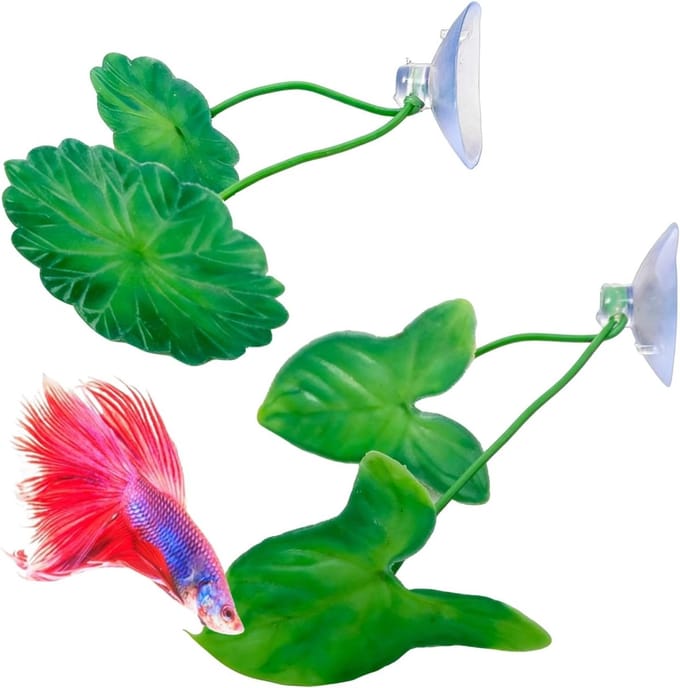 Dailygoods - Drijvende Rustplaats voor Betta Vissen, Set van 2
