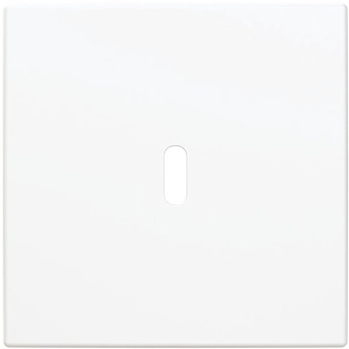 Busch-Jaeger Centrale plaat USB-laadstation 1-voudig met USB C-aansluiting alpinewit - Busch-balance® SI (6479-914), 2CKA006400A0441