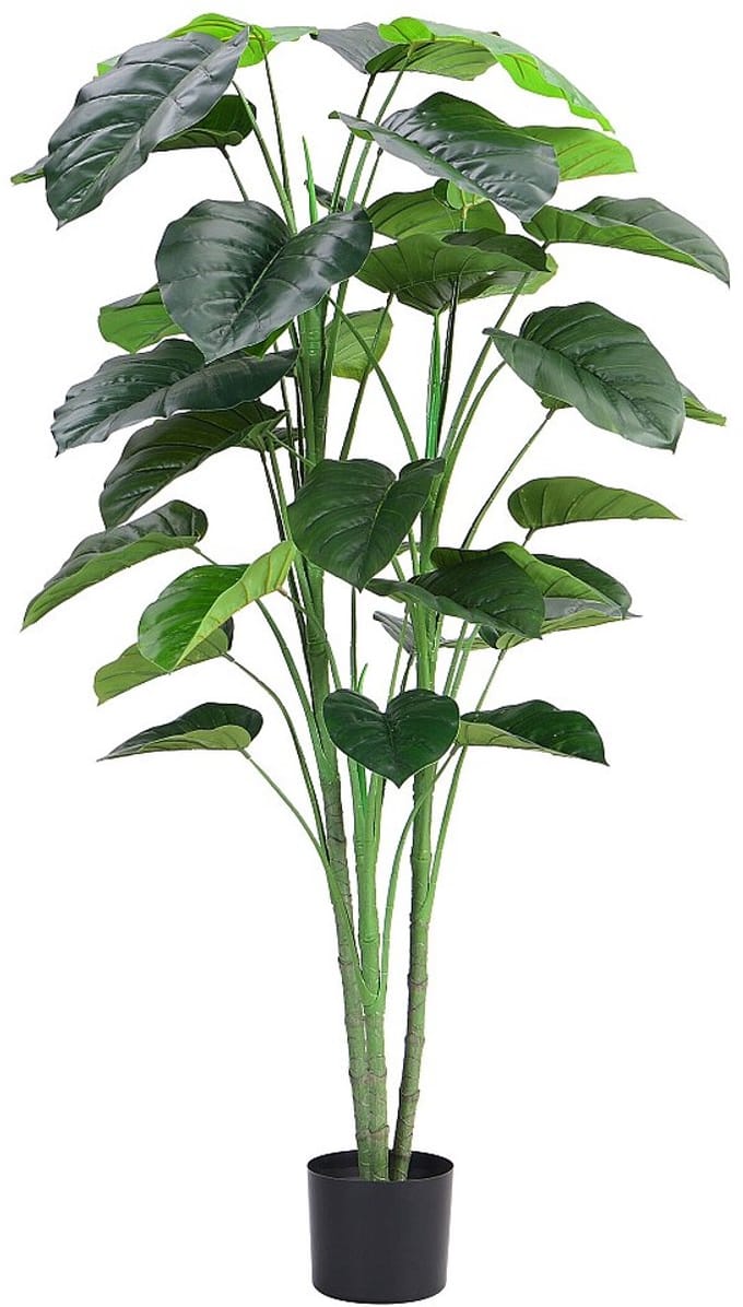 Vente-unique Kunstplant taro met pot - H160 - Groen - BAJA