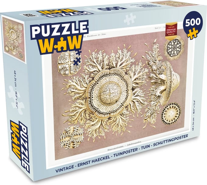 Puzzel Vintage - Ernst Haeckel - Kwal - Kunst - Legpuzzel - Puzzel 500 stukjes