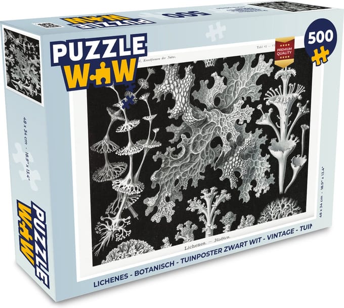 Puzzel Kunst - Koraal - Ernst Haeckel - Oude meesters - Natuur - Legpuzzel - Puzzel 500 stukjes