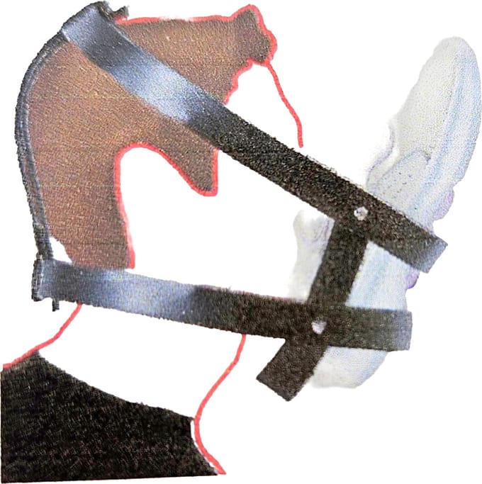 BNDGx® - BDSM voet fetish - Dominance strap schoen bondage set