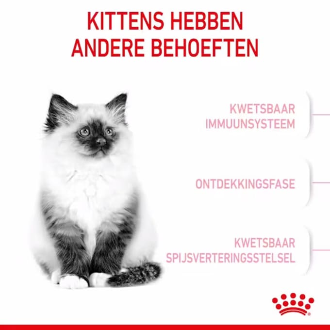 Royal Canin - Kitten Kattenvoer - 4 x 4 kg