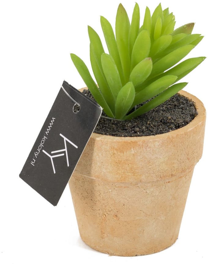 HomeBound by KY | Cactus kunst in potje | kunstplant
