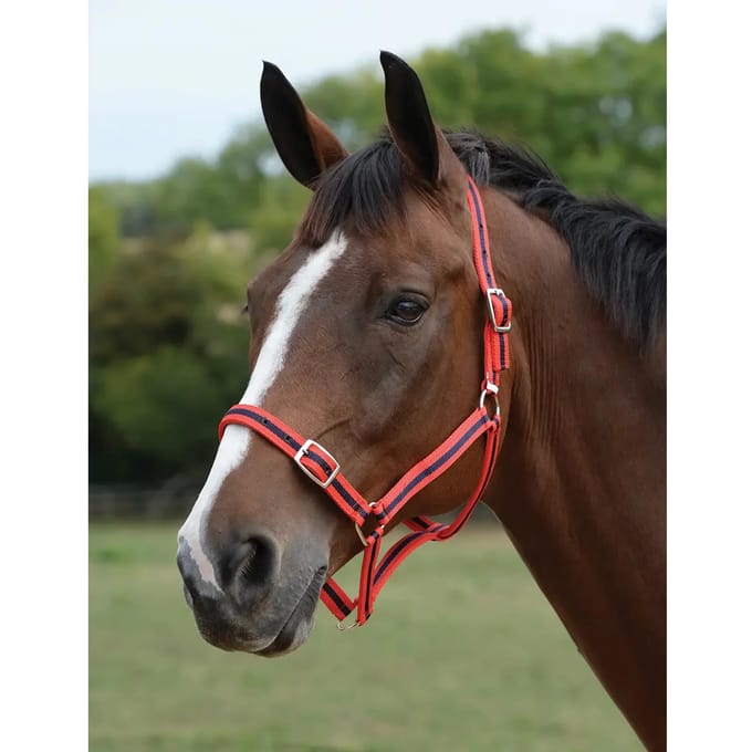 Halster en touwset voor paarden Roma