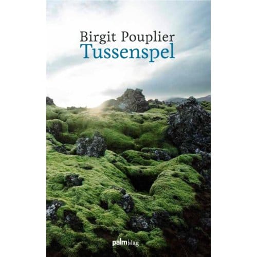 Tussenspel - Birgit Pouplier