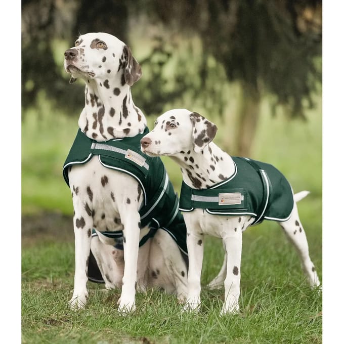 Waldhausen Rain Hondenjas Groen 55 cm