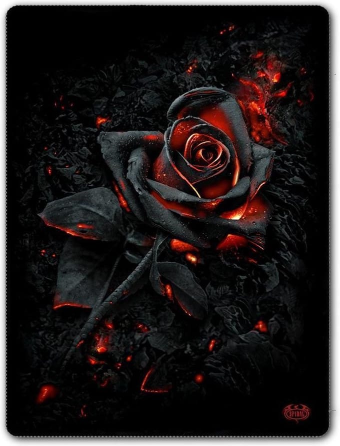 Spiral - Gothic Dekens - Burnt Rose - voor Geen - zwart