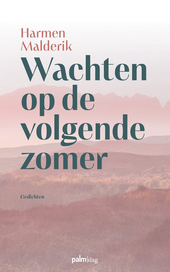 Wachten Op De Volgende Zomer - Harmen Malderik