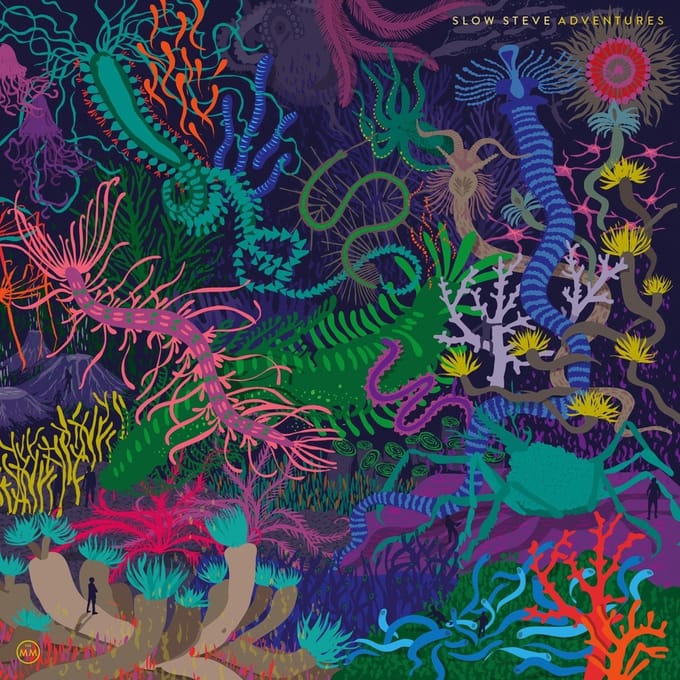 Slow Steve - Adventures (LP)