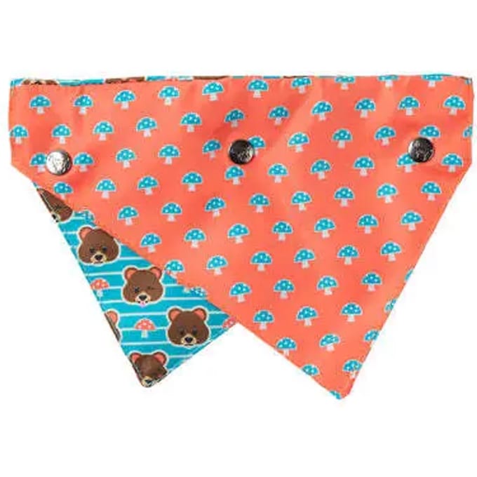 Bandana FuzzYard Fuzz Bear
