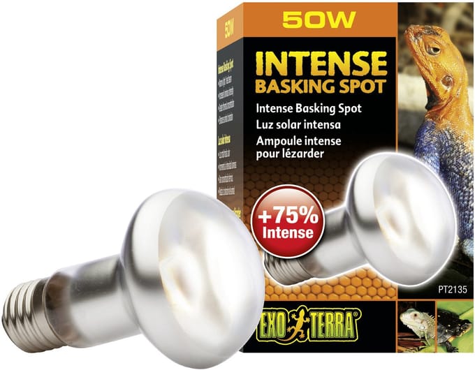 Exo Terra Basking Spot Lamp - Terrarium Verlichting - 50W
