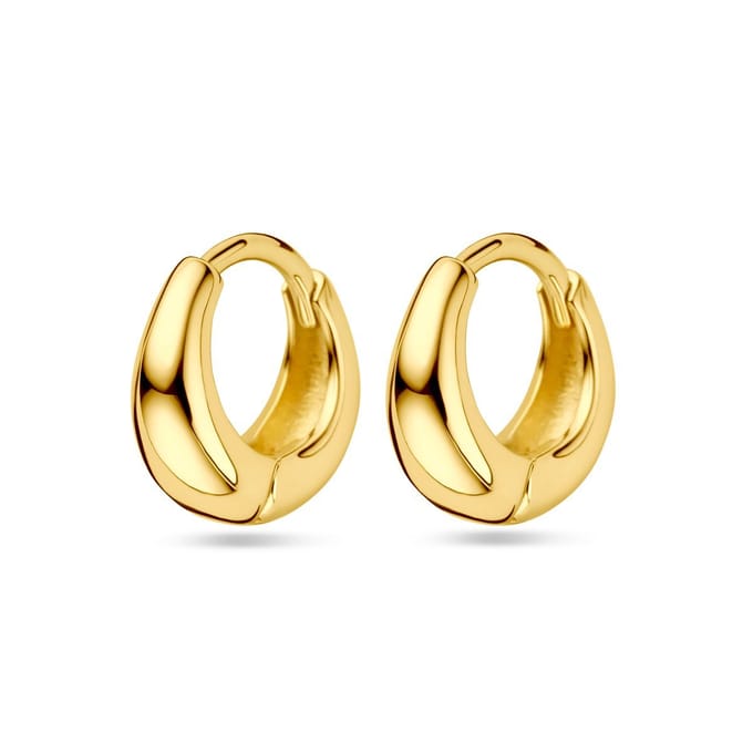 Zilver Verguld (Geel) Klapoorringen 11.5 Mm 1 Micron 2103677