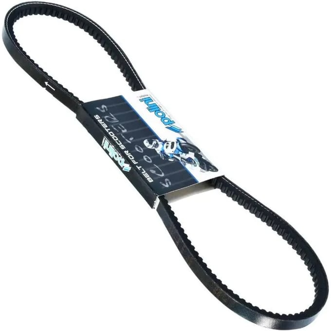Courroie de transmission Polini pour Mobylette Piaggio Ciao PX 248.113 Neuf