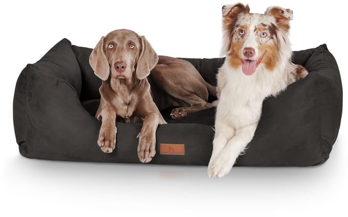 Knuffelwuff Hondenbed Dreamline van velours XL 105 x 75cm zwart