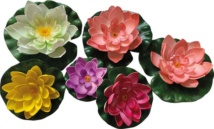 Pond Deco Lelie