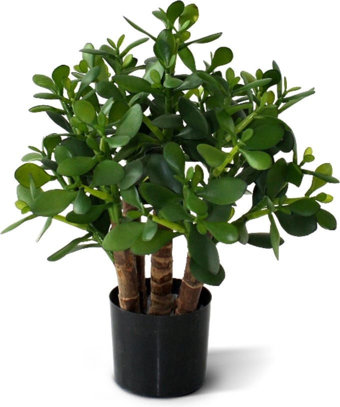 Crassula kunst vetplant 40cm