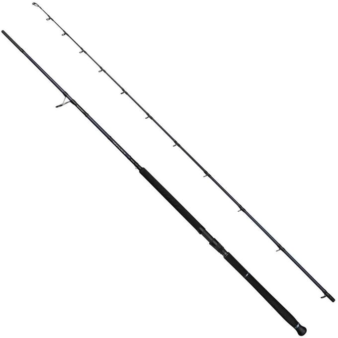 Savage Gear Defiance Sg2 Shore Jigging Hengel Zilver 2.90 m / 20-80 g