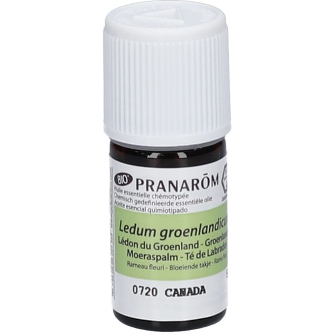 Pranarôm Etherische Olie Groenlandse Moeraspalm Bio 5 olie