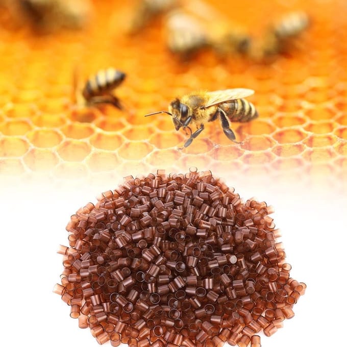 1000PCS Beekeeping Queen Cell - Beekeeping Queen Rearing Cell Cups - Royal Jelly Cups - Beekeeper Equipment Tool - Plastic Queen Breeding Base - Beekeeping Farmer Tool