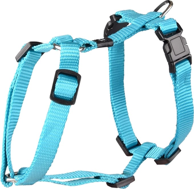 Flamingo - H-Harness Ziggi - Turqoise - 25-40cm - 10mm
