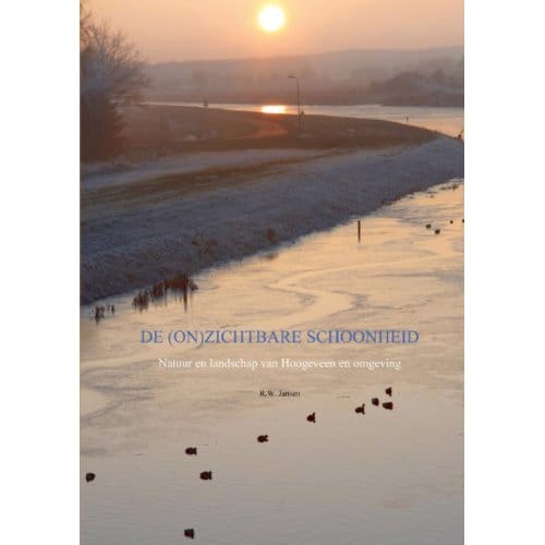 De (On)Zichtbare Schoonheid - Ronald Wilfred Jansen