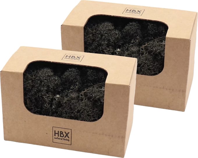 HBX Natural Living Decoratie mos - zwart - 100 gram - rendiermos - hobby
