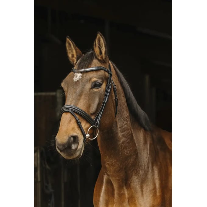 Hoofdstellen Norton Pro Galon