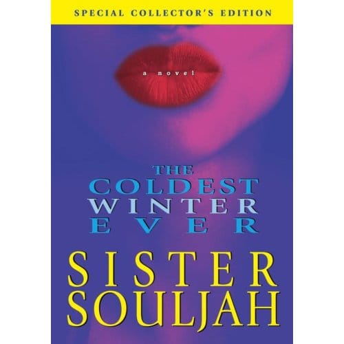 The Coldest Winter Ever - Sister Souljah