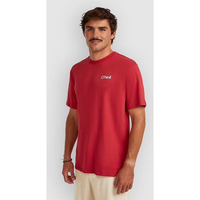 O'Neill Polygiene Cotton Graphic T-Shirt groen