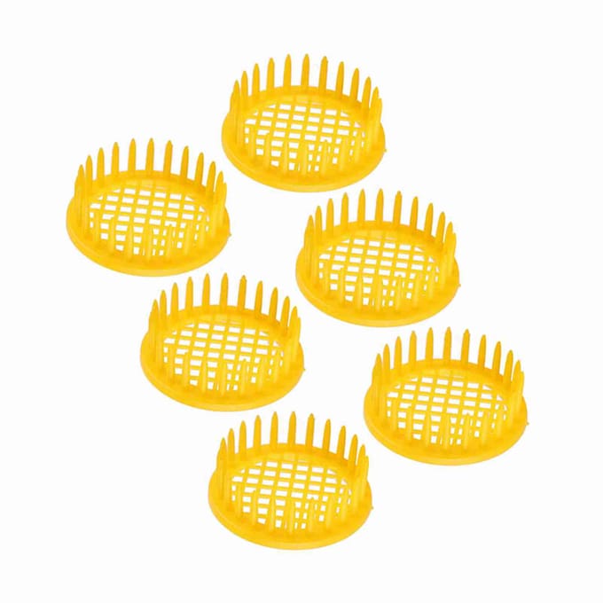 6 Stuks Koninginennesten Kweekbak Cel Bijenhouderij Apparatuur yellow