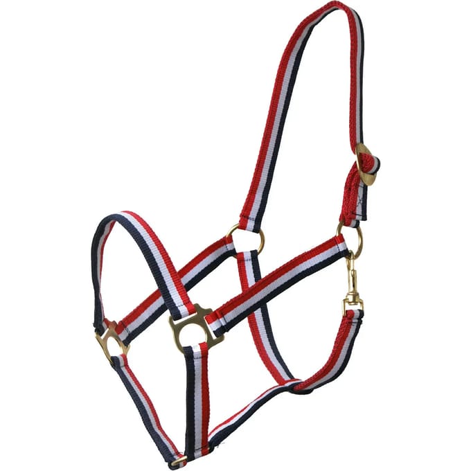 Halster voor paarden Q-essentials