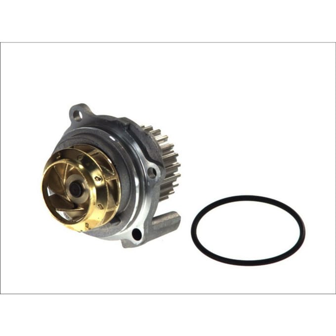 Waterpomp HEPU P545