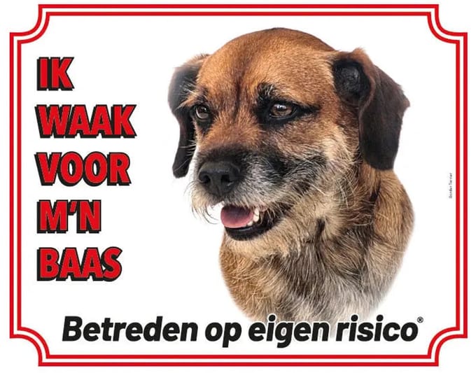 Border Terrier Waakbord