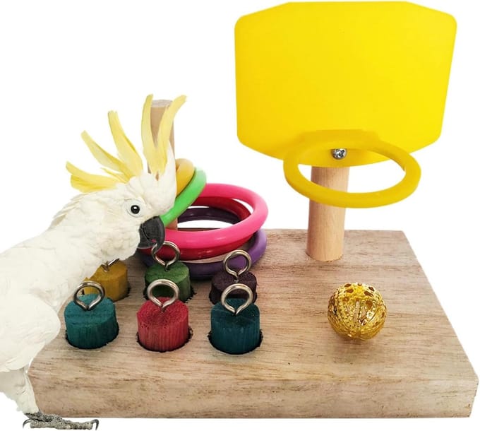 Vogel Ringwerpspel - Parkieten Denkspel - Intelligentie Training - Stevige Kauwbestendige Constructie - 13x9x11cm - Multicolor