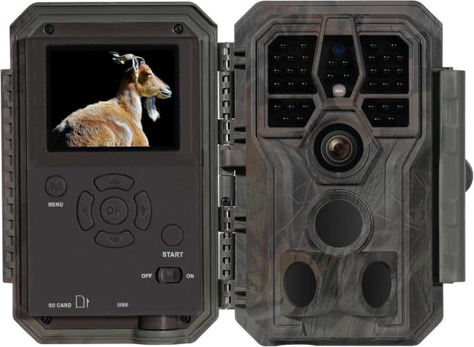 Wildcamera met Nachtzicht - Buitencamera - Waterdicht - Full HD - Wildlife