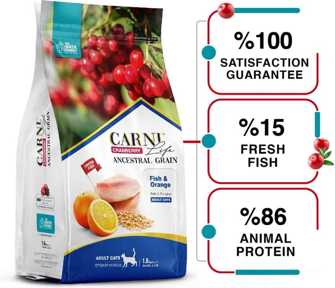 Carni Life Cranberry ANCESTRAL GRAIN FISH & ORANGE ADULT