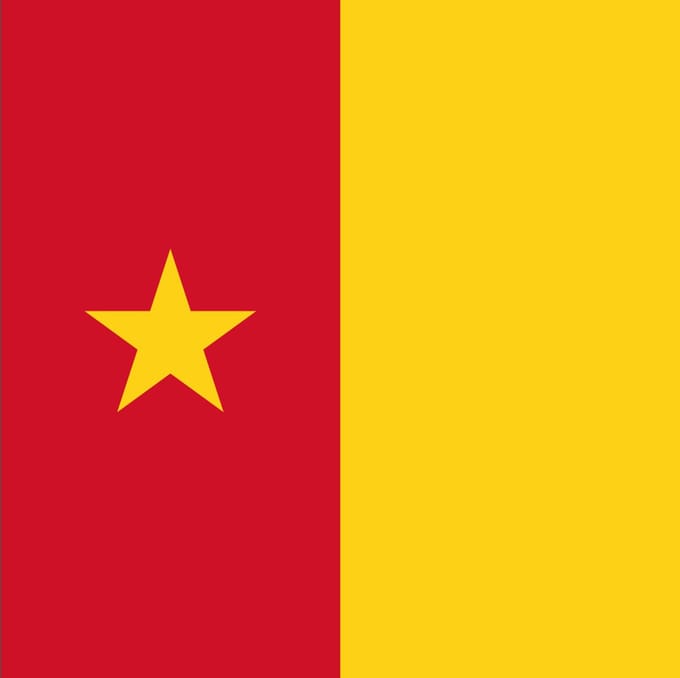 Vlag Kameroen 50x75cm